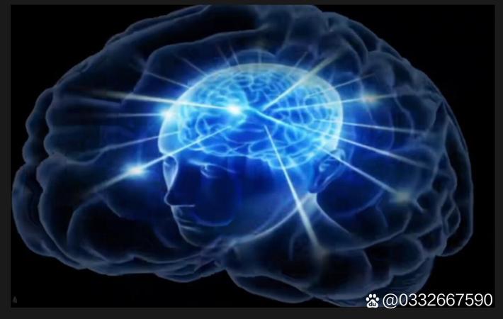亚星游艇最新款操作指南：从入门到精通的实用技巧